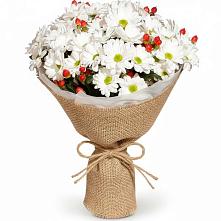 Букет цветов из:  Хризантемы #REPLACE_PRED# Федино